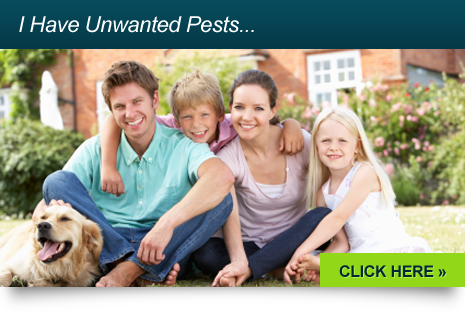 I Have Unwanted Pests - CLICK HERE